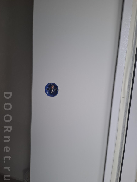 20250503_171554.jpg